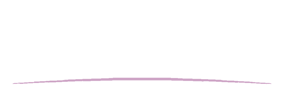 Visega